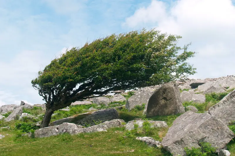 Alerta del pla VENTCAT