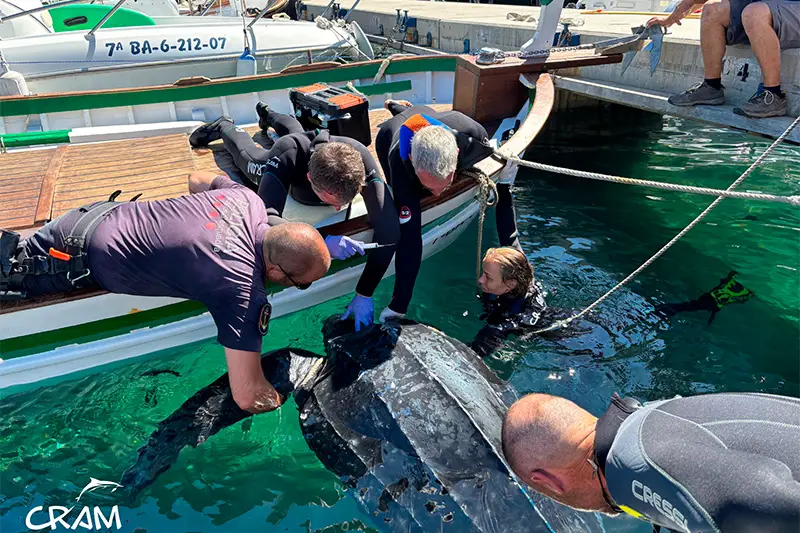 Departament de Territori, Habitatge i Transició Ecològica