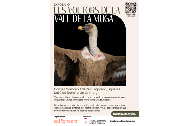 Consell Comarcal de l'Alt Empordà