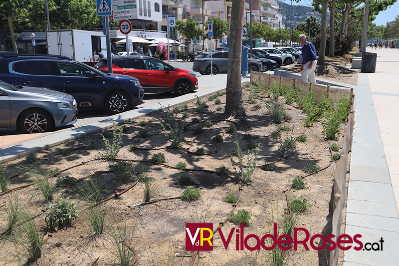 Parterres al passeig marítim